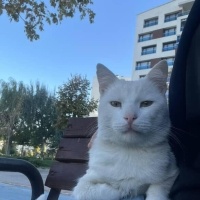 Yaşamı bo..