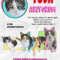 İZMİR ACİ..