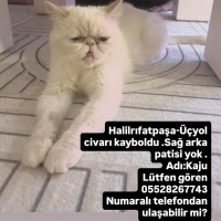 KAYIP İLA..