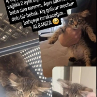 Aşırı sev..