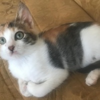 Tam bir ş..