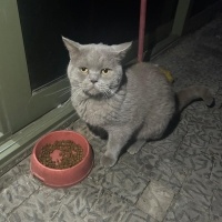 Sokağa At..