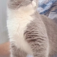 Ona gerçe..