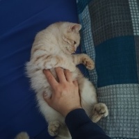 Erkek kıs..