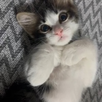 ✨️Kucağı..