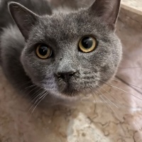 SOKAĞA BI..
