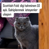 Sokakta b..