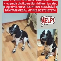 İngiliz S..