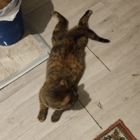 Çok sevecen, s...