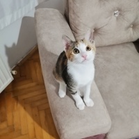 Oyuncu Yavrumu...