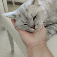 Canım oğl..