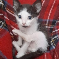 Casper’a..