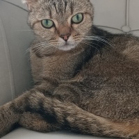 Sokağa at..