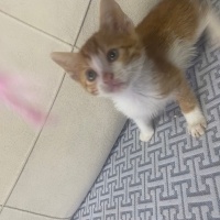 Çok tatlı..