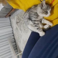 Bıdık yuv..