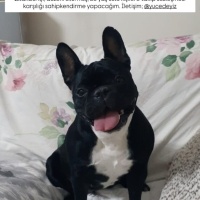 Sokağa te..