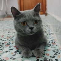 🐾Yuva Ar..