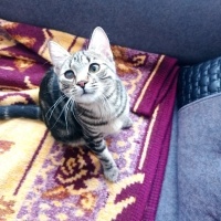 Şuan geçi..