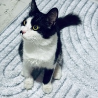 Luna’ya K..