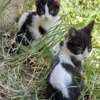 2 AYLIK 2..