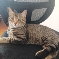 🐾 Sıcacı..