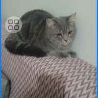 Duman aci..