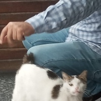 Sokakta y..