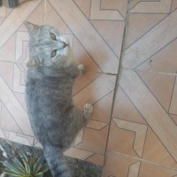 DÜNYA GÜZ..