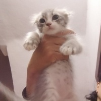 Kızımız h..