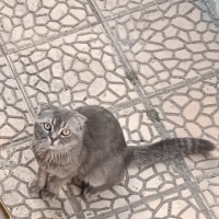 2 yıldır..
