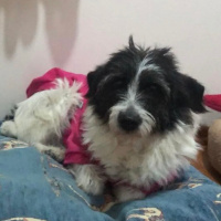 Cindy ye..