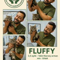 Fluffy se..