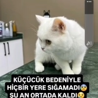 YAKLAŞIK..