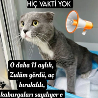 Çok Acil..