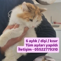 Çok ama ç..