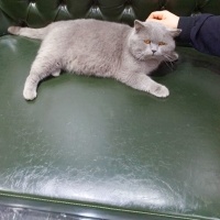 Sokağa terk edilmiş