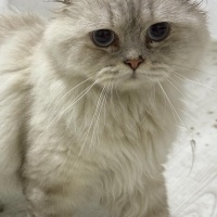 1.5 yaşında yuva arıyoruz