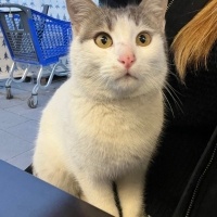 ÖKSÜZ OĞLUŞA YUVA ❤️