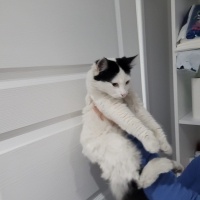 Bir bakışta aşık olacağınız, pofidik tüylü sevgi dolu bir bebek ✨😻