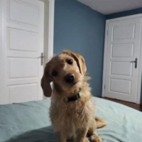 AŞILARI TAM ‼️...