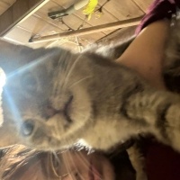 Aşırı sırnaşık...