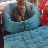 Açıklamayı oku...