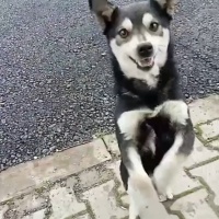 KÜÇÜK IRK ERKE...