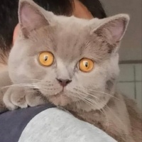 Lütfen ilanı tam okuyunuz