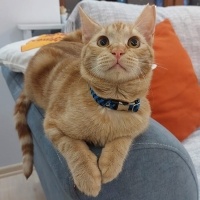 Yakışıklı oğlumuza ömürlük yuva