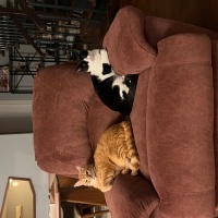 Veda etmek zorundayız