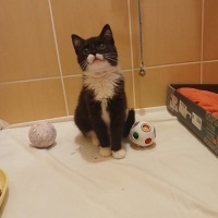 Görmeyen gözü olur musunuz? Sokakta yaşayamaz