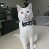 İki kardeş sokağa atıldı....