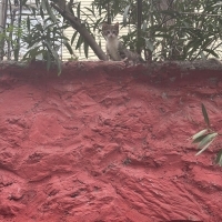 Görmezden Gelme, Bir Cana Dokun