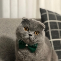 Uysal dumanıma ömürlük yuva arıyorum